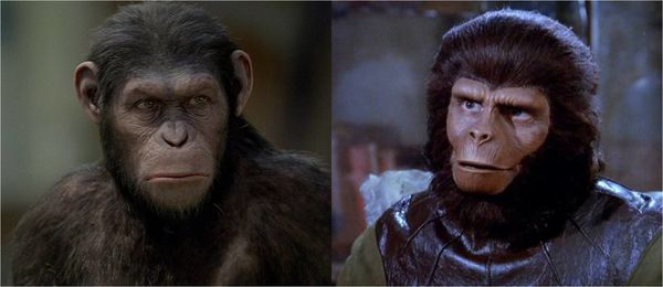 apes.jpg