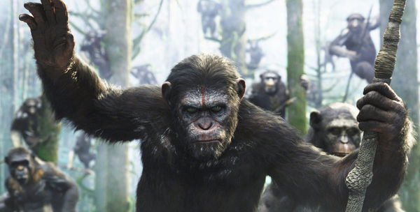 Dawn-of-the-Planet-of-the-Apes-Wallpaper-1130x572.jpg