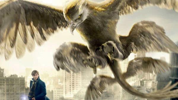 thunderbird-fantastic-beasts-and-where-to-find-them-lu-1920x1080.jpg